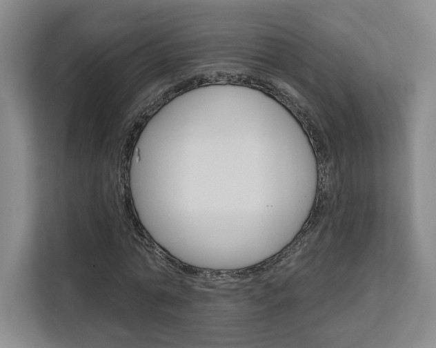 X0000113080774200908280946
