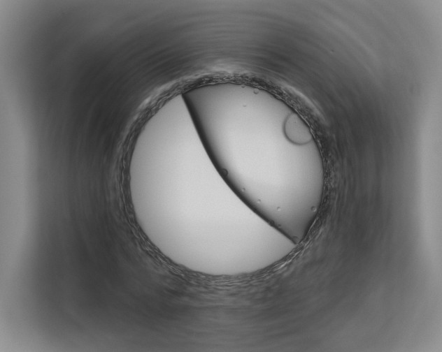 X0000113080776200908280946