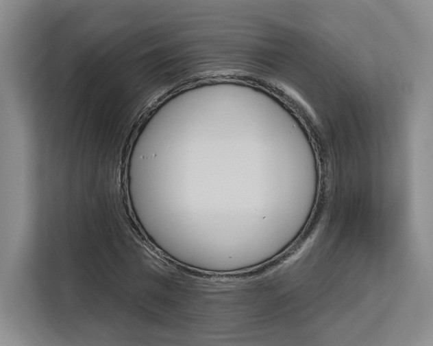 X0000113080777200908280946