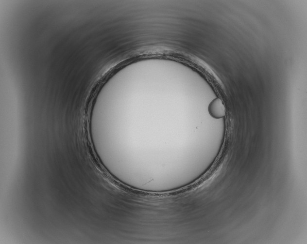 X0000113080778200908280946