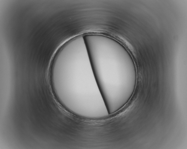 X0000113080779200908280946