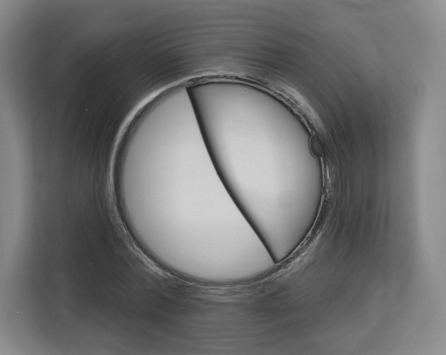 X0000113080780200908280946