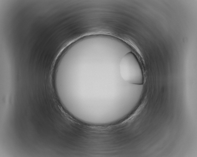 X0000113080781200908280946