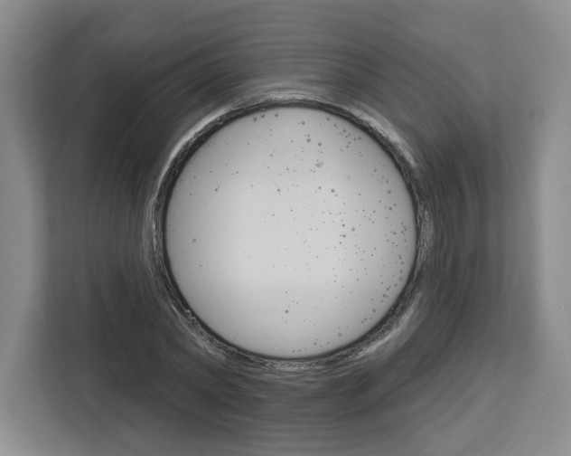 X0000113080782200908280946
