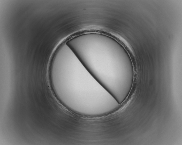 X0000113080783200908280946