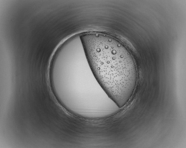 X0000113080784200908280946