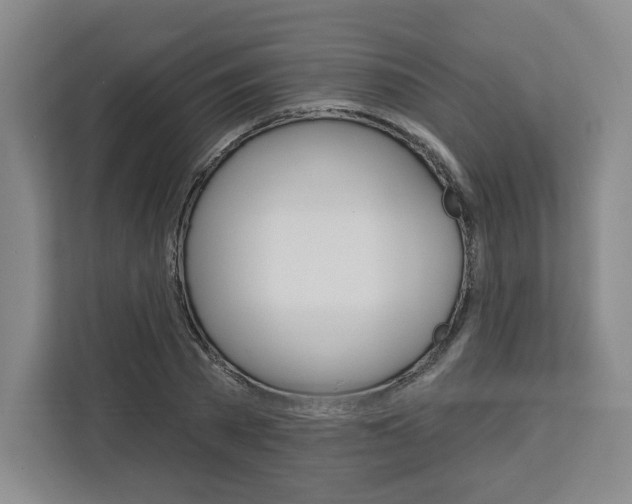 X0000113080785200908280946