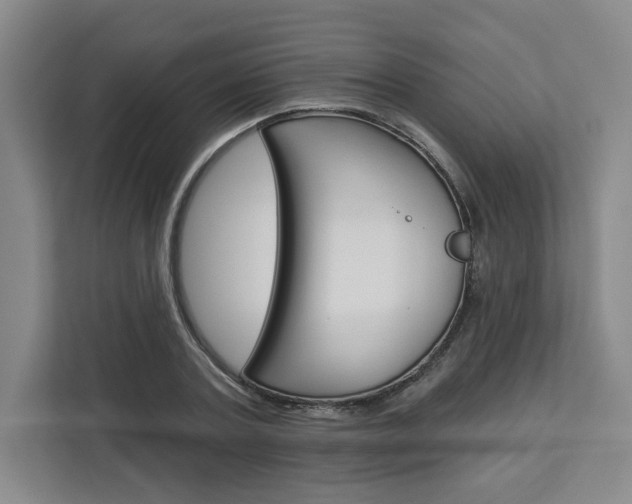 X0000113080787200908280946
