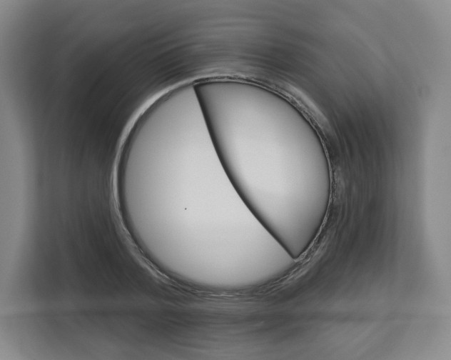 X0000113080788200908280946