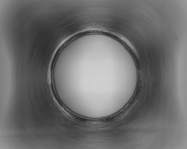 X0000113080791200908280946