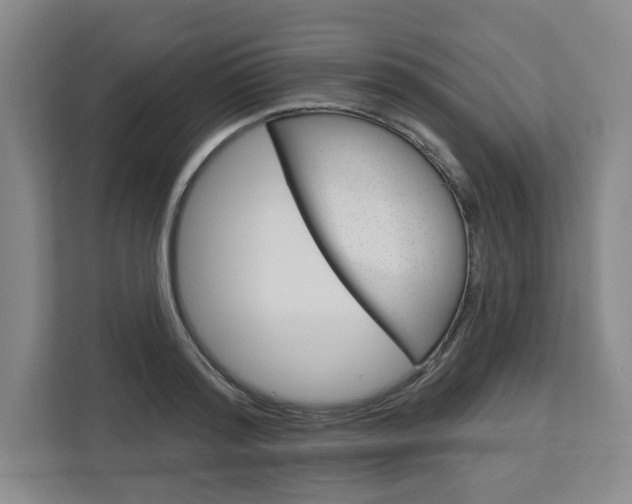 X0000113080796200908280946