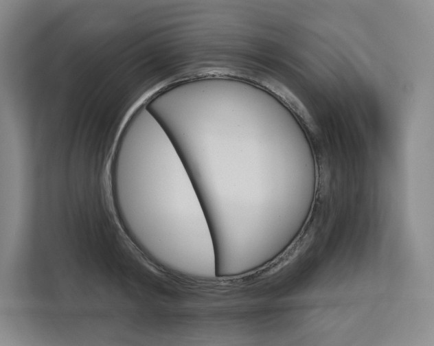 X0000113080798200908280946