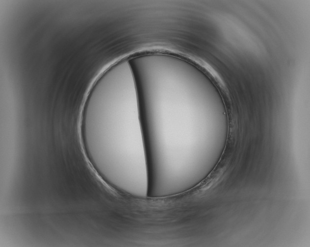 X0000113080799200908280946
