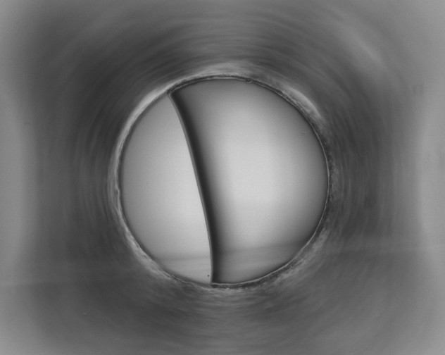 X0000113080800200908280946