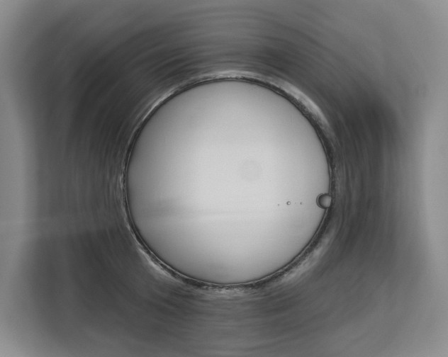X0000113080801200908280946