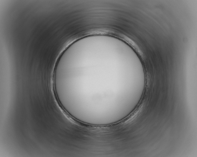 X0000113080802200908280946