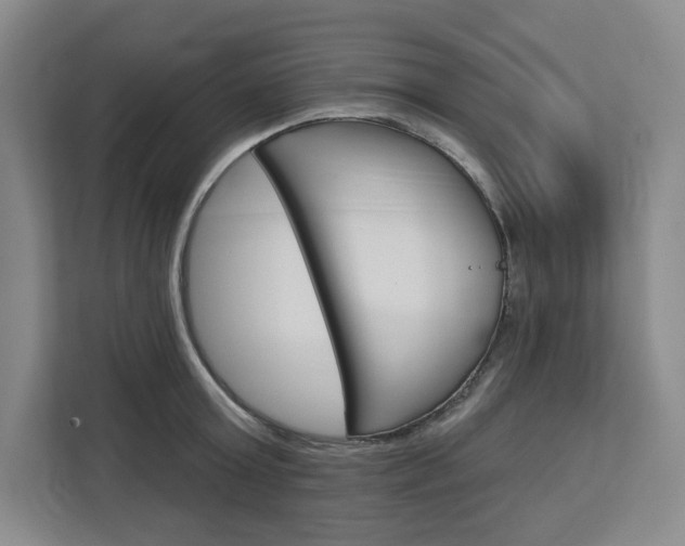 X0000113080803200908280946