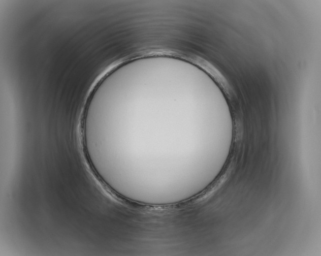 X0000113080806200908280946