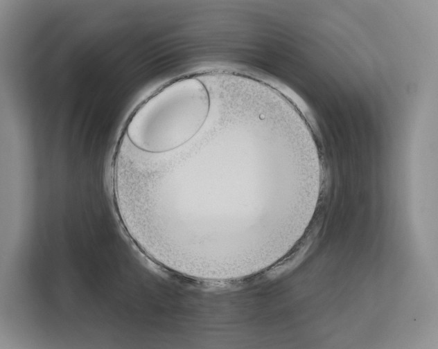 X0000113080807200908280946