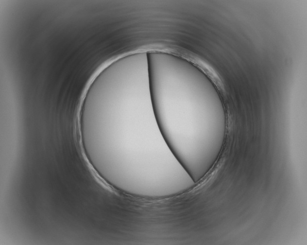 X0000113080808200908280946