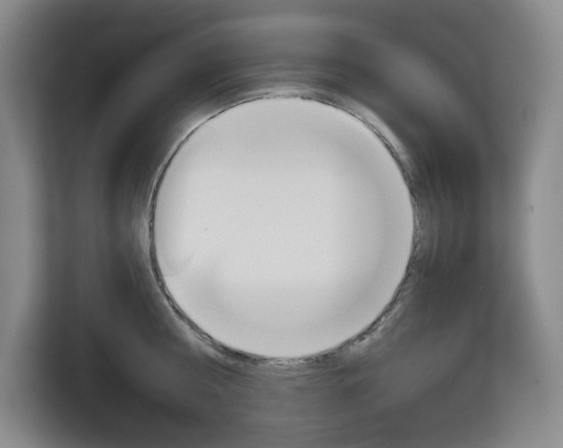 X0000113080810200908280946