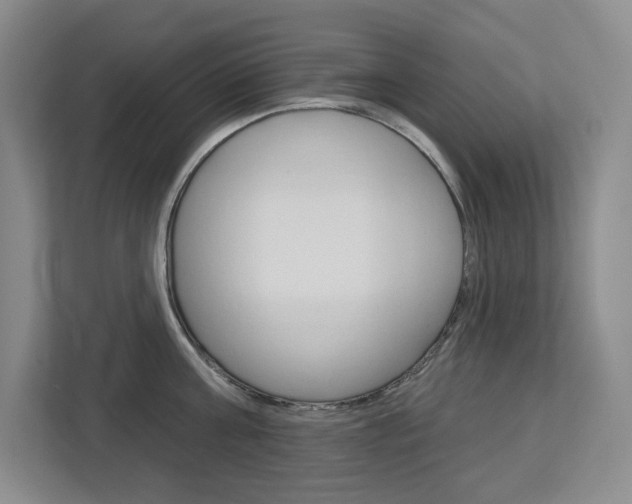 X0000113080811200908280946