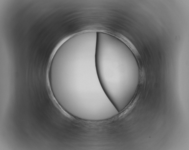 X0000113080812200908280946