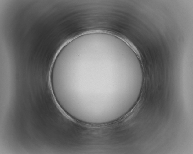 X0000113080813200908280946