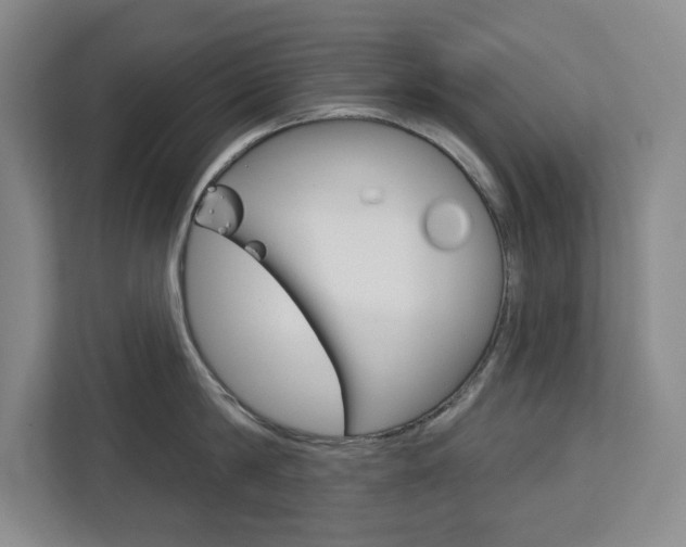 X0000113080814200908280946