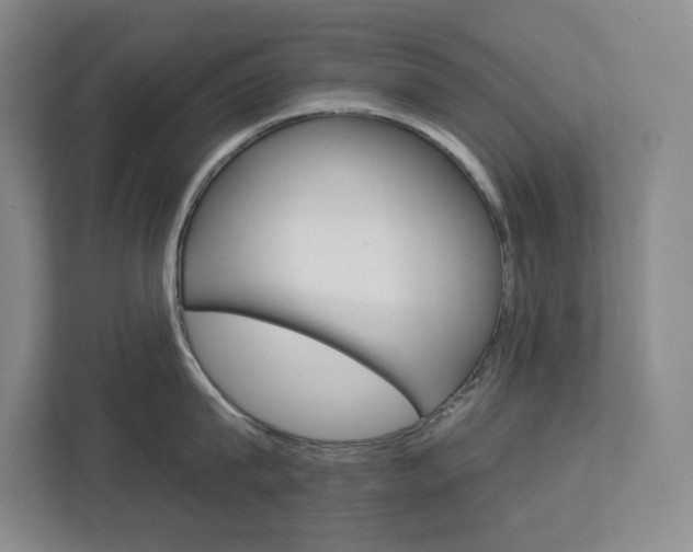 X0000113080815200908280946