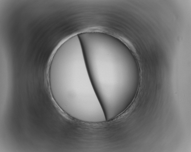 X0000113080816200908280946