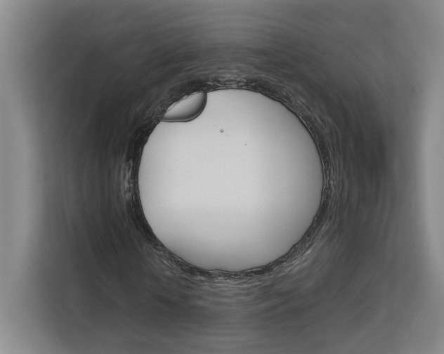 X0000113080818200908280945