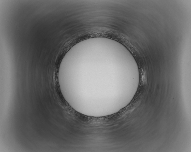 X0000113080819200908280945