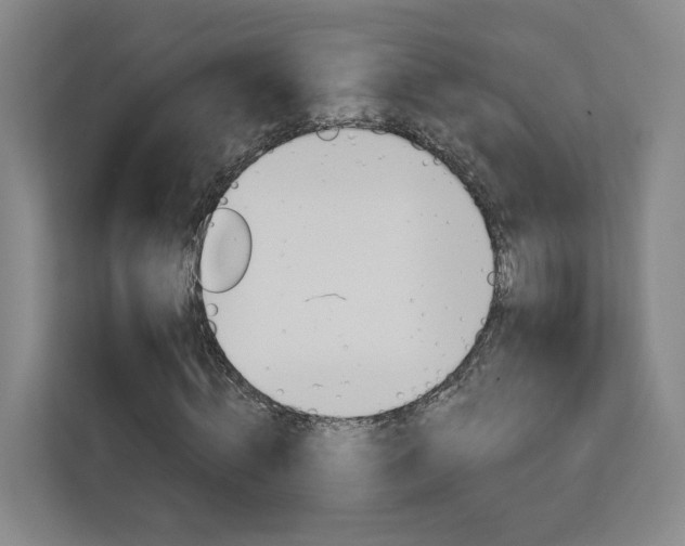 X0000113080820200908280945