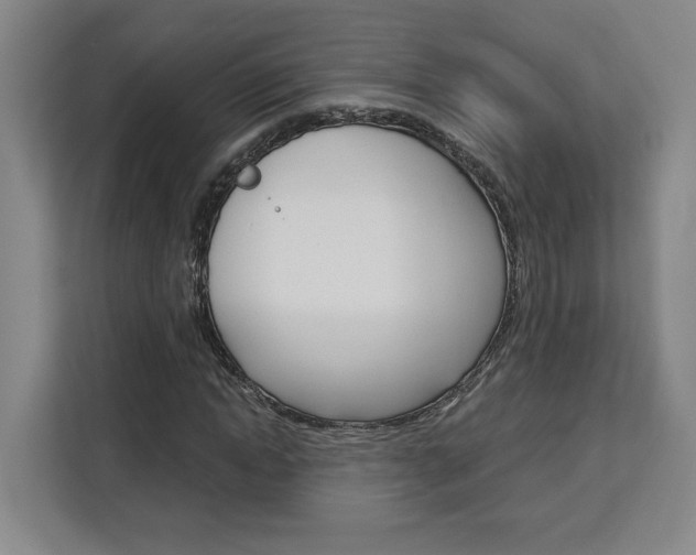 X0000113080822200908280945