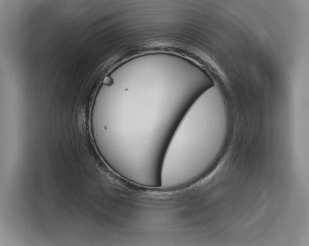 X0000113080825200908280945