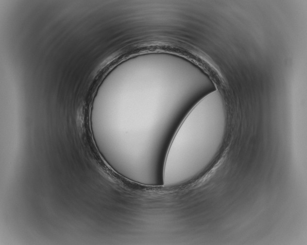 X0000113080826200908280945
