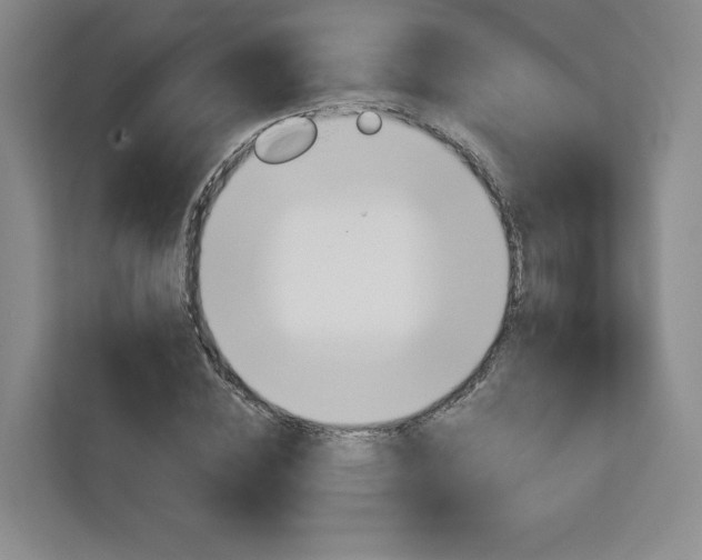 X0000113080828200908280945