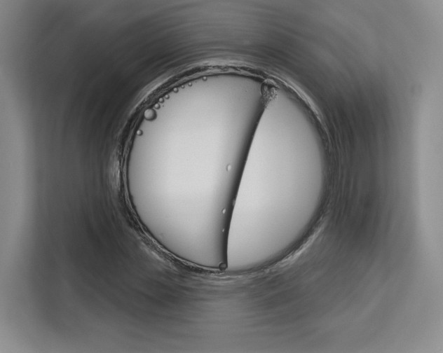 X0000113080829200908280945