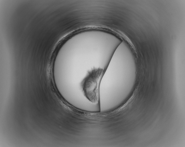 X0000113080831200908280945