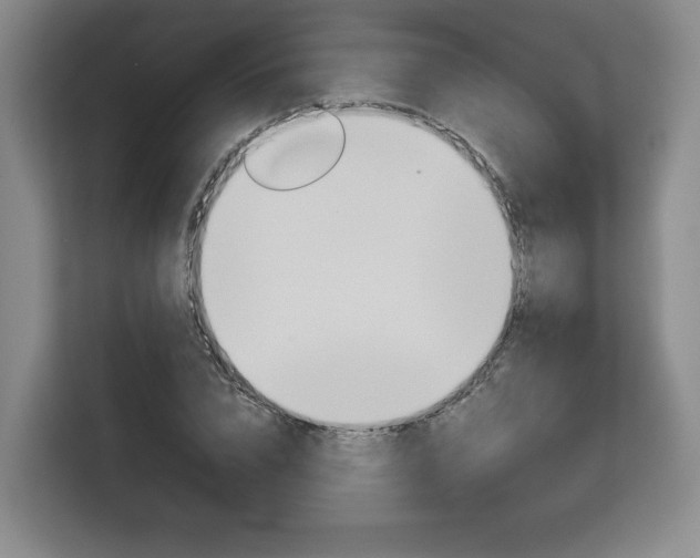 X0000113080832200908280945