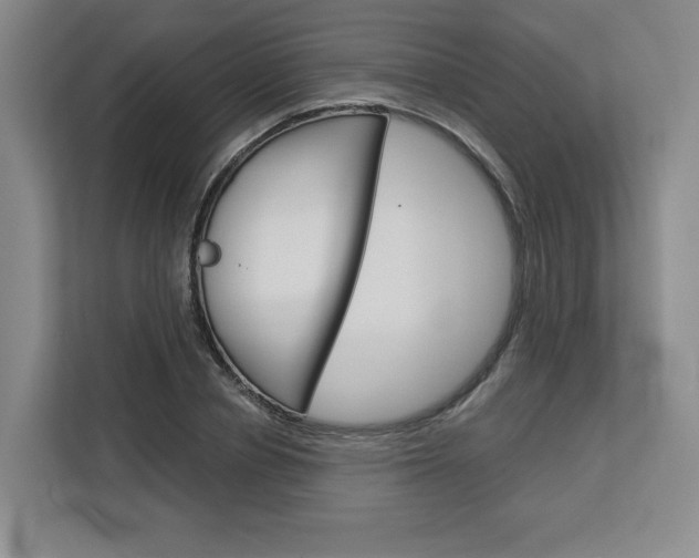 X0000113080834200908280945