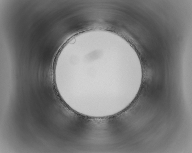 X0000113080836200908280945
