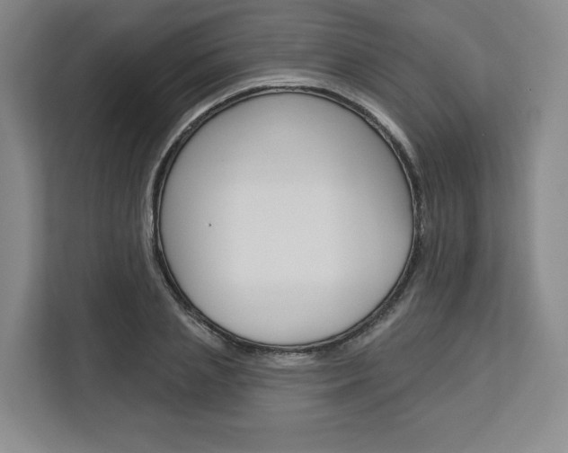 X0000113080837200908280945