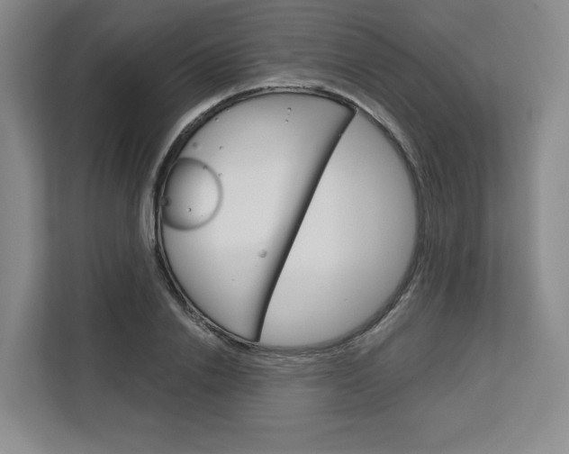 X0000113080838200908280945