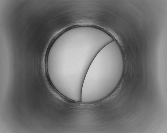 X0000113080840200908280945
