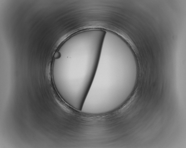 X0000113080842200908280945