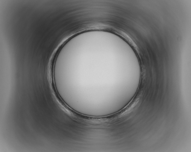 X0000113080843200908280945