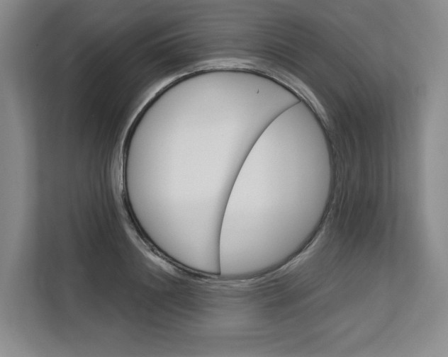 X0000113080844200908280945