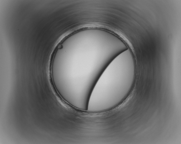 X0000113080845200908280945